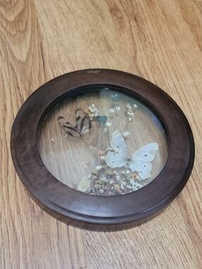 UCGC Walnut Framed Dried Butterfly And Flowers Wall Plaque 6 3/4"